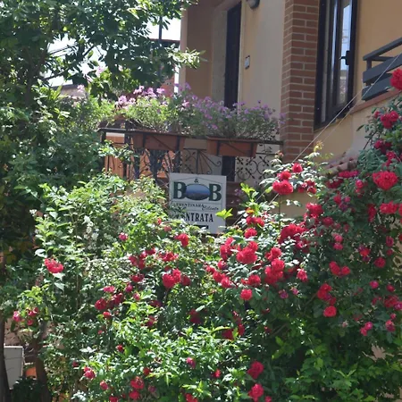 Cilento 3* Trentinara