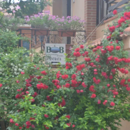 Cilento לינה וארוחת בוקר