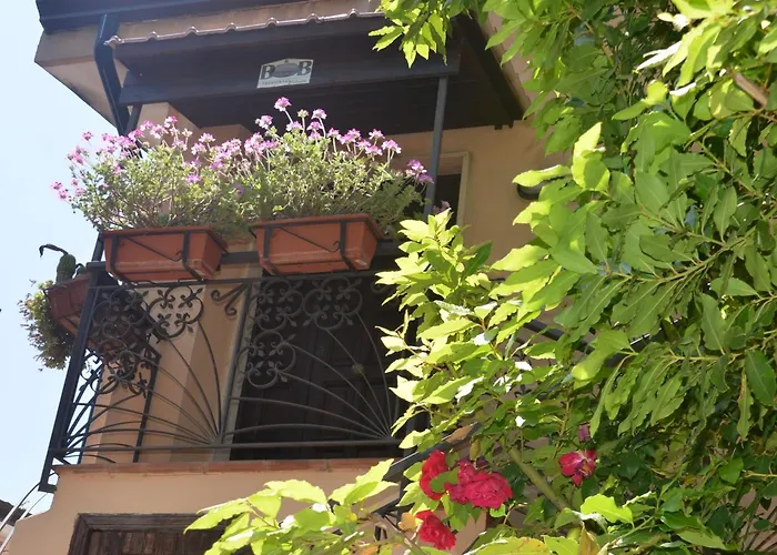 Bed & Breakfast Cilento