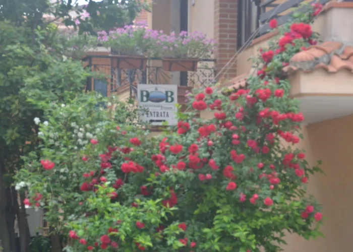 Cilento Bed & Breakfast